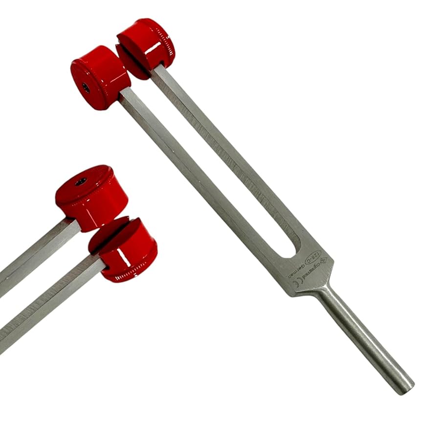 Amazon.com: C-128 Hz Frequency Tuning Fork with Red Weights
